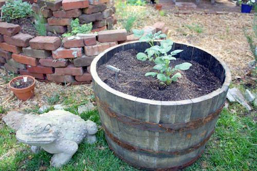 Wine and Whiskey Barrel Planters in Outdoor Décor in Kitchener / Waterloo - Image 4