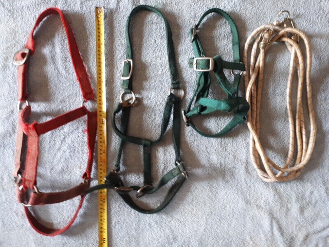 Horse and pony tack, De Gogue, leathers, halters, carry bag in Equestrian & Livestock Accessories in Mississauga / Peel Region