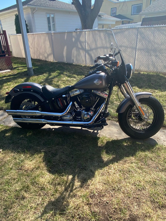 Harley Davidson softail 103 2015 dans Routières  à Saint-Hyacinthe - Image 2