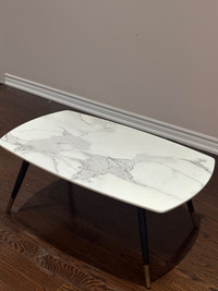 Marble Patterned Rock Slab Coffee Table