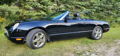 2002 FORD THUNDERBIRD - CONVERTIBLE 66000 KMS NEVER WINTER DRIVEN STORED EVERY WINTER ALWAYS WELL MA...