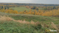 Land For Sale Rycroft, Alberta - CLHbid.com