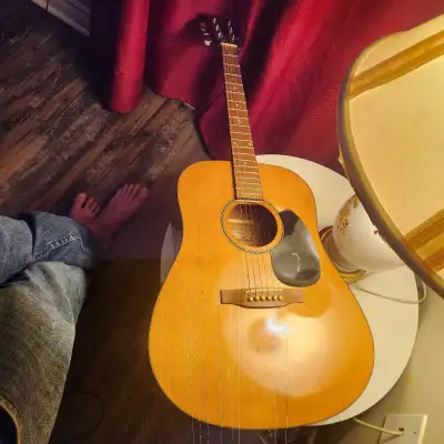 beaver Greek guitar , View more