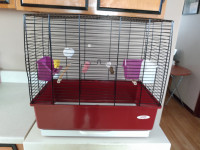 Budgie Bird Cage