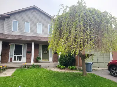 Very large and private basement with en-suite bathroom and shower in shared home for 1 person. Basem...