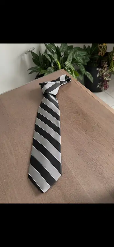 Men’s tie - BRAND NEW - $15 each - (2 available), View more