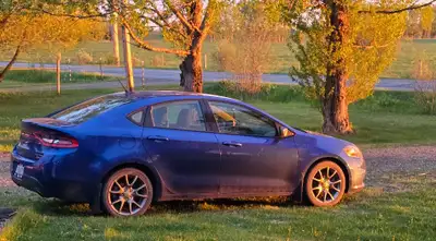 Looking for a fun, reliable, and sporty car? Check out this 2014 Dodge Dart Rallye Edition! It’s bee...