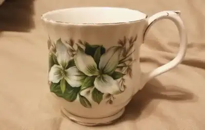 ROYAL ALBERT TRILLIUM BONE CHINA CUP, View more