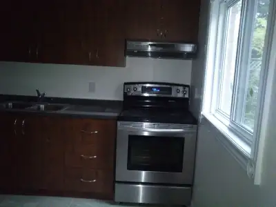 Walkout basement unit with own washroom and kitchen in Richmond Hill. Parking is for small compact c...