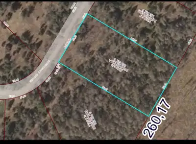 1 hour from Ottawa/Gatineau 1 Acre buildable vacant lot, mostly flat. City allows for building, or t...