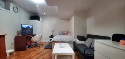 Bachelor Basement apartment!