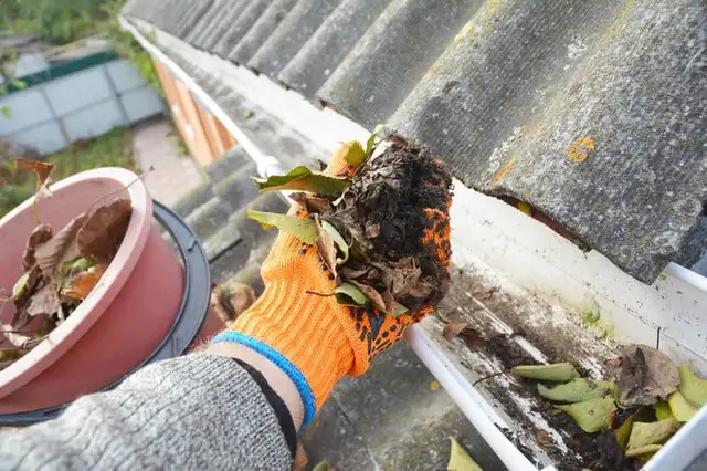 GUTTER CLEANING    25% OFF!!!!