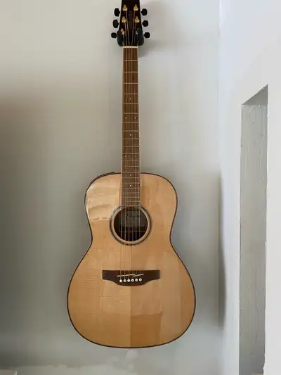 Takemine GY93E-NAT, View more