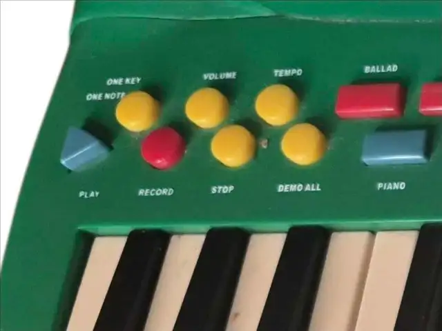 Alligator Animal Keyboard in Toys in Windsor Region - Image 4
