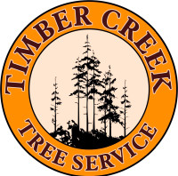 Looking for arborist for my tree company