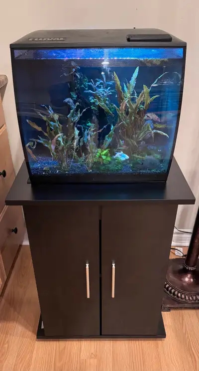 Fluval Flex 15 + Stand + Plants + Fish + More, View more