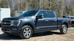 2021 Ford F 150 PLATINUM 