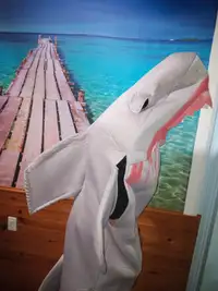 Costume requin