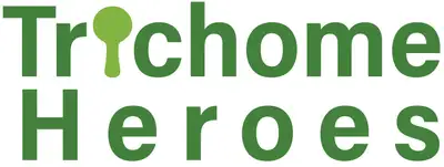 Needed: Business Development Partner For a Cannabis Venture, View more