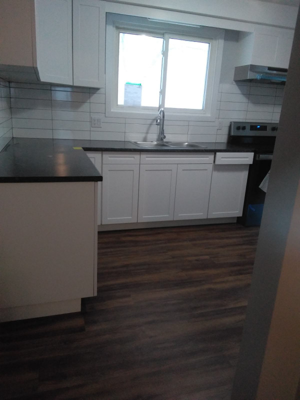 NEWLY RENOVATED 3 BDRM 1 BATH MAIN LEVEL FOR RENT, NIAGARA FALLS in Long Term Rentals in St. Catharines - Image 2
