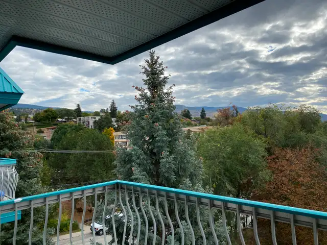 1 BEDROOM APARTMENT - PET FRIENDLY