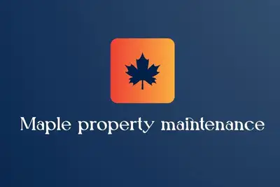 roof cleaning and pressure wash, View more