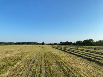 Looking for Farmer to Hay Field – Crop Share Opportunity, View more