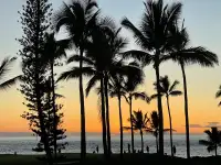 Weekly timeshare for Kona , Hawaii 