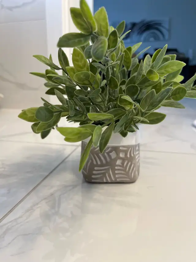 Small Home Decor in Home Décor & Accents in Calgary - Image 5