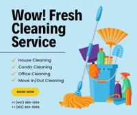 Cleaning services For Home, Condo, Office 