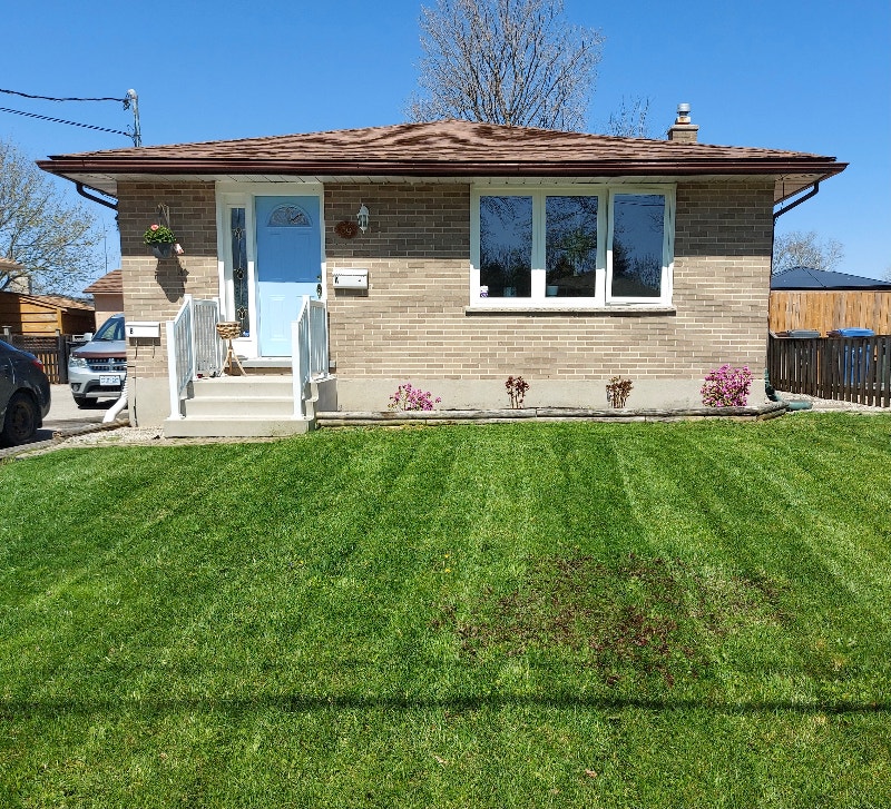 beautiful renovated 3 bedroom bungalow east end guelph Long Term