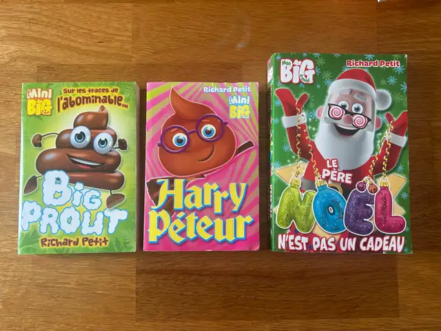 Livre jeunesse MiniBIG et/ou BIG  in Children & Young Adult in Longueuil / South Shore - Image 2