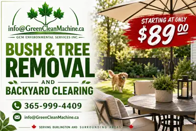 Small tree and bush removal. Backyard clean up., View more