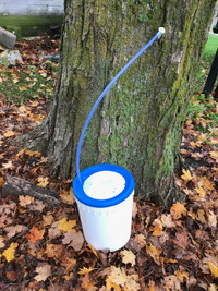 Maple syrup equipment, pails, buckets, taps, spile, plastic line