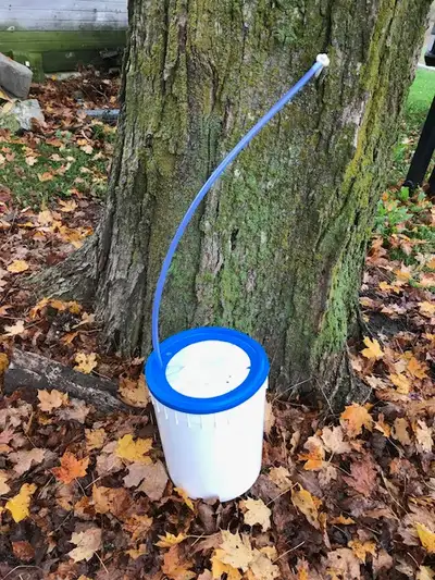Sap pails for maple syrup production, 11 litres in size Plastic, complete with lids, very tight seal...