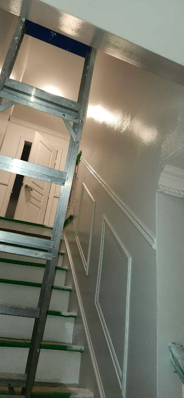 Experienced Professional Painters569242524950220803