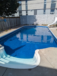 Pool Openings, Maintenance and Services
