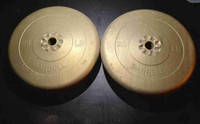 York Barbell 25lb weights