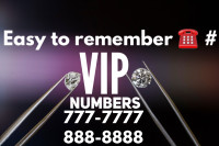 Easy to remember fancy 613/343 Unique Vip phone numbers 