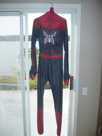 Spiderman Costume Adult