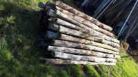 Rustic 8 foot long used fence posts