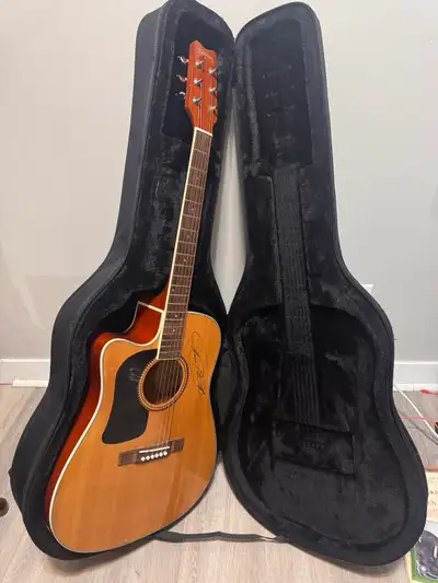 Washburn D10SCELH, View more