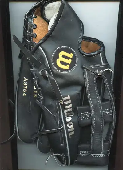 Wilson Baseball Softball Pattern grip-titepocket LEFT Glove, View more
