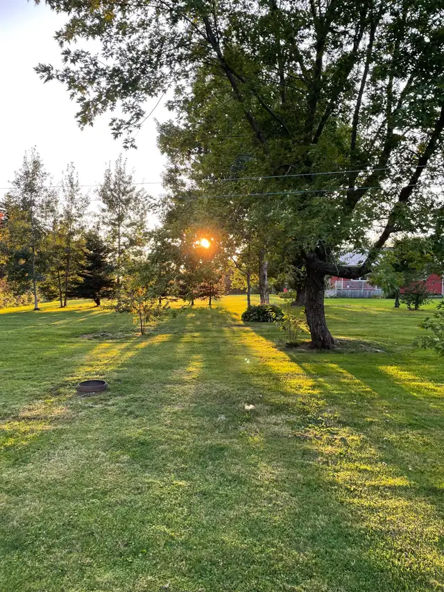 One Bedroom, All Utilities Incl, Stanley Bridge Area in Long Term Rentals in Charlottetown - Image 9