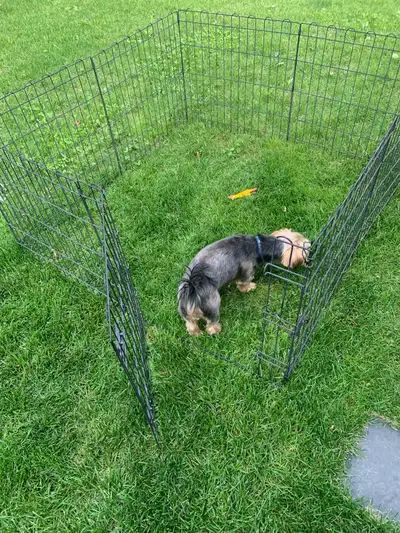 PORTABLE PET PLAYPEN IN VERY GOOD CONDITION, View more