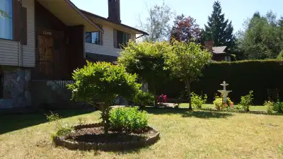 Spacious fully furnished room for rent, bright and sunny, shared kitchen ( no strong spices, light c...