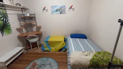 TTC Access Nearby – All-Inclusive Room for Rent