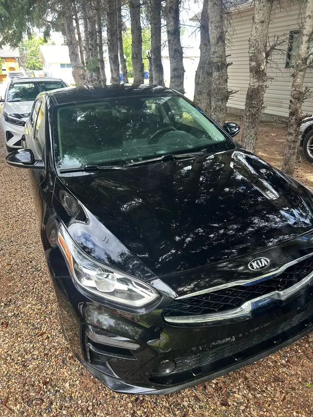 2019 Kia Forte EX
