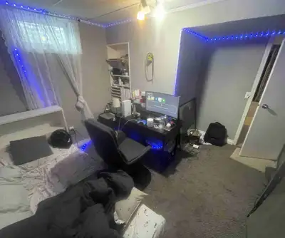 Private Room in Basement