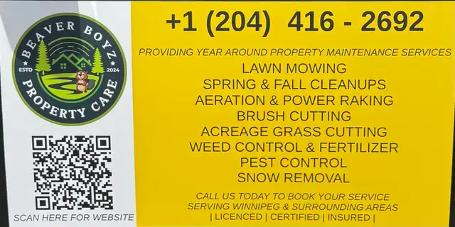  Spring Yard Cleanup Services Available 436100175181926401